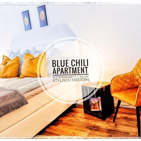 Blue Chili 20 - Zentral In Der City Wlan Bis 4 Pers ماغديبورغ المظهر الخارجي الصورة