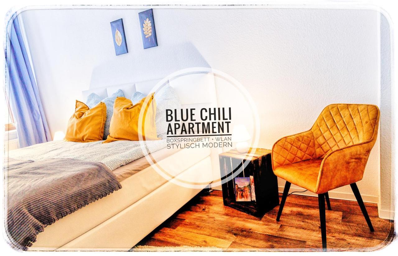 Blue Chili 20 - Zentral In Der City Wlan Bis 4 Pers ماغديبورغ المظهر الخارجي الصورة